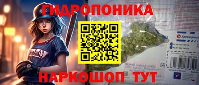 ГАЛЛЮЦИНОГЕННЫЕ ГРИБЫ Беслан