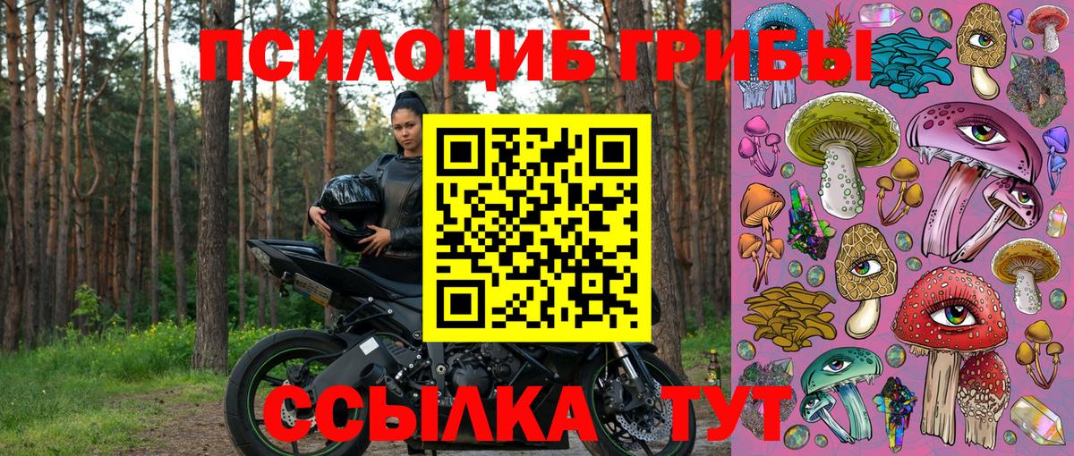 Галлюциногенные грибы Magic Shrooms Вичуга