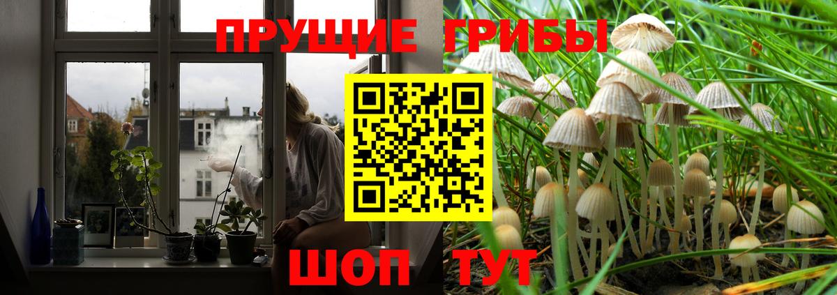 Псилоцибиновые грибы мухоморы Вичуга