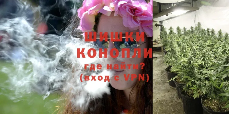 Конопля Ganja  Вичуга 